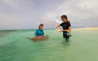 Deux jeunes bénévoles en train de nourrir une tortue de mer.