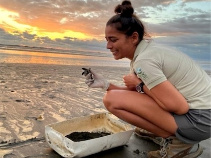 une jeune bénévole s'occupe d'une tortue sur une plage au Costa Rica