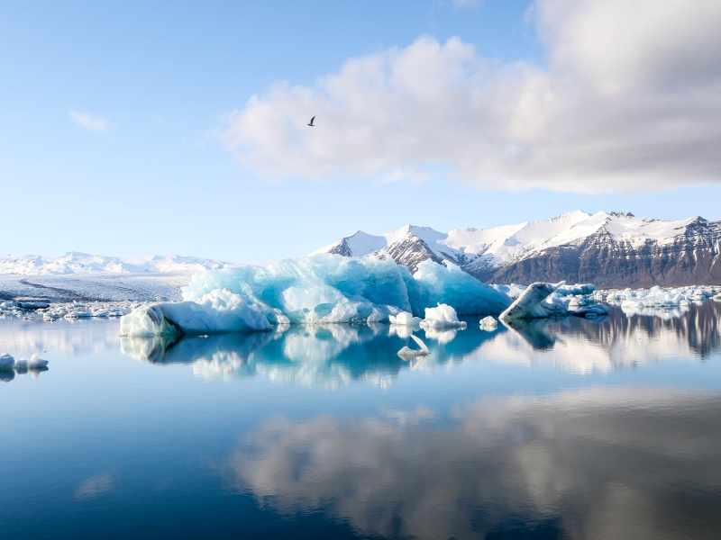 Paysage islandais d'un glacier sur la mer