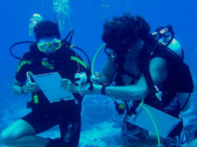 Deux volontaires en mission de protection sous marine aux seychelles